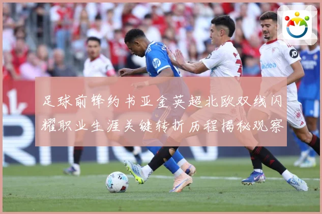 足球前锋约书亚金英超北欧双线闪耀职业生涯关键转折历程揭秘观察