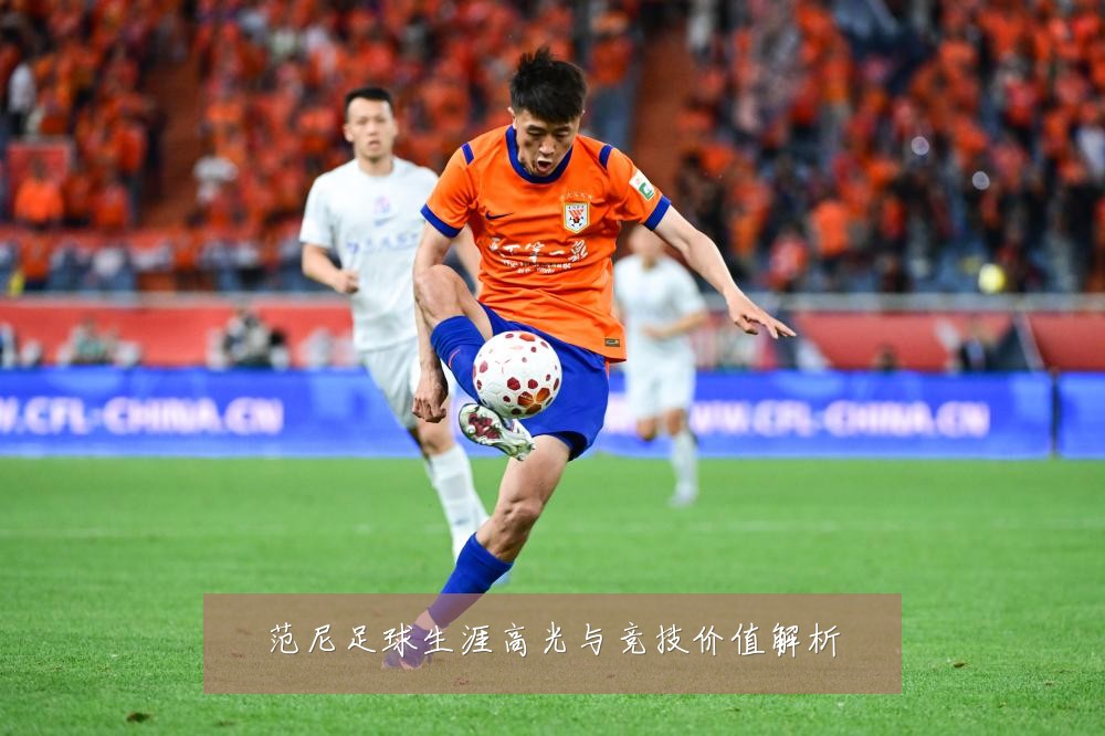 范尼足球生涯高光与竞技价值解析